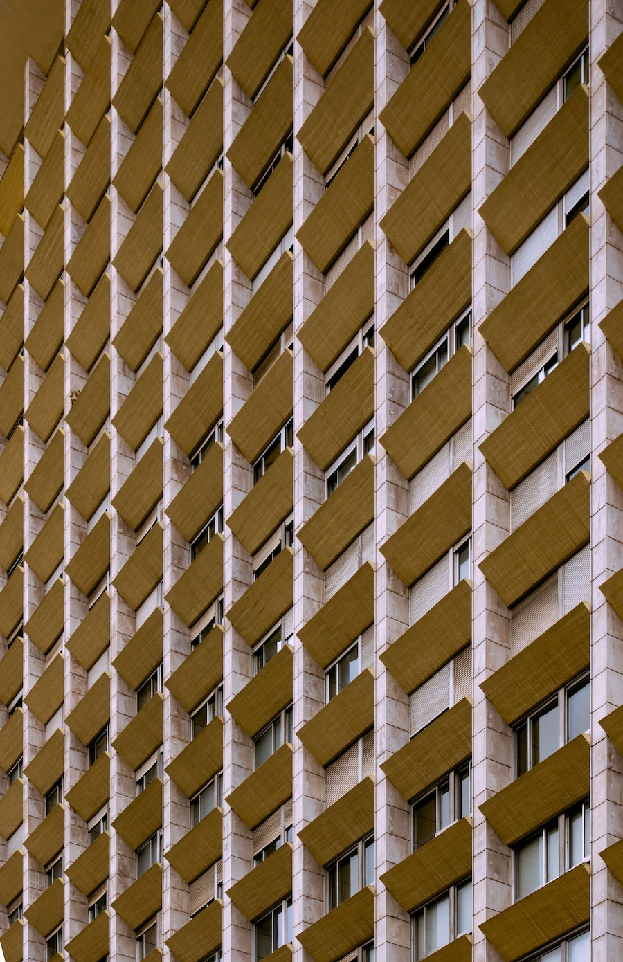 Ciudad